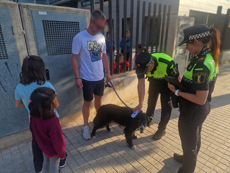 La Policia Local sanciona 52 propietaris d'animals de companyia per no recollir els excrements o portar-los solts