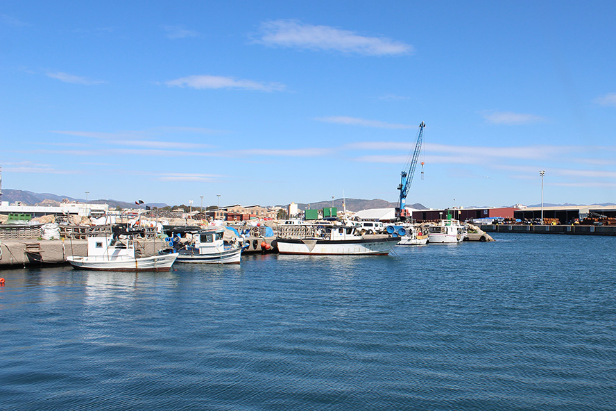 El ple de la corporació municipal concedix la Medalla d'Or de la ciutat a la Confraria de Pescadors Verge del Carmen