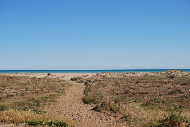 Les oficines de Turisme del municipi registren més visitants este estiu que en 2018