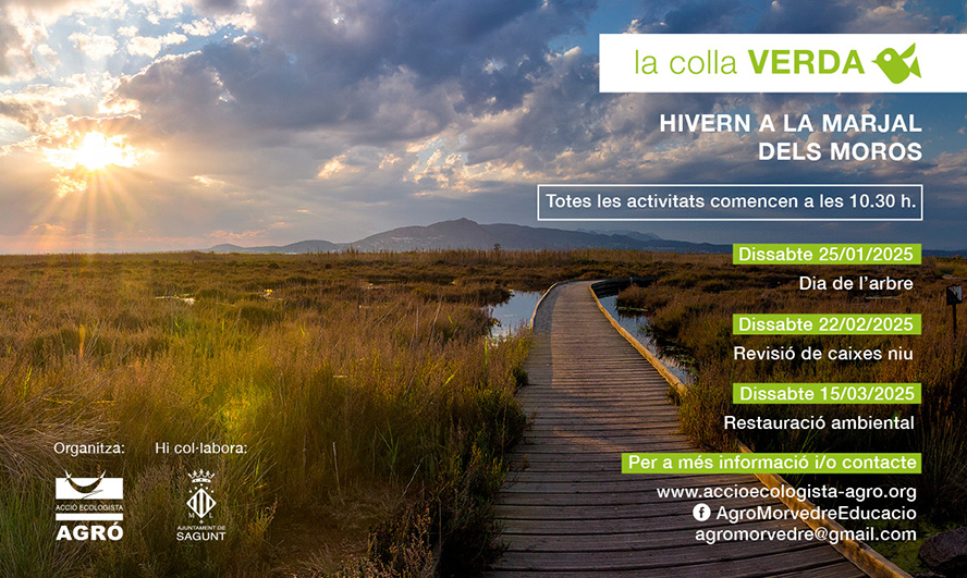 La Colla Verda comença el 2025 hivernant a la marjal dels Moros