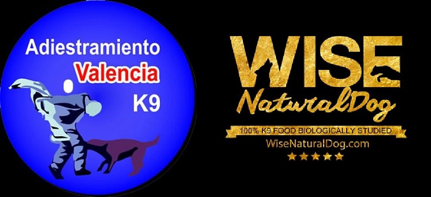 L'Ajuntament de Sagunt oferix ajuda als col·lectius professionals que treballen per a frenar la crisi sanitària amb la cura de les seues mascotes