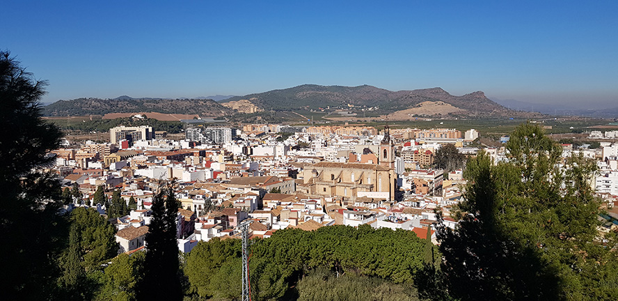 Sagunt desperta l'interés en països internacionals dels quals fins al moment no es tenien registres