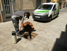 Sanitat continua amb els tractaments contra plagues