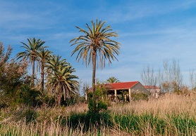 El centre ambiental de la Casa Penya reprén l'activitat de visites guiades