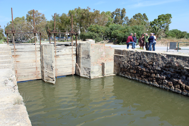 El director general de Medi Natural i d'Avaluació Ambiental, Antoni Marzo, visita la marjal d’Almardà