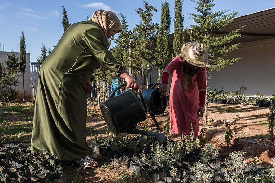 'El alimento que nos une', una mostra del paper de les dones rurals en la sostenibilitat socioecològica del Marroc