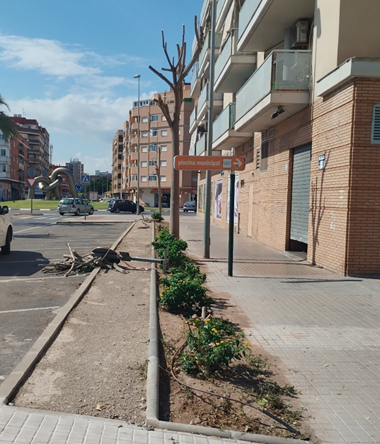 El carrer Periodista Azzati se sotmet a treballs de jardineria per a millorar la biodiversitat en la zona