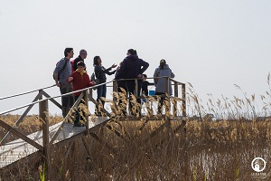 L'Ajuntament de Sagunt i Acció ecologista-Agró programen “Estiu de portes obertes a la Casa Peña”