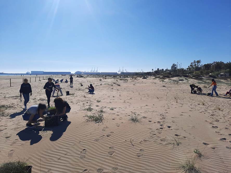 El projecte 'Participa!' finalitza amb la cooperació de 400 estudiants