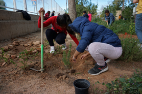 Els col·legis tornen a celebrar el Dia Escolar de l'Arbre dins del Programa Municipal de Medi Ambient