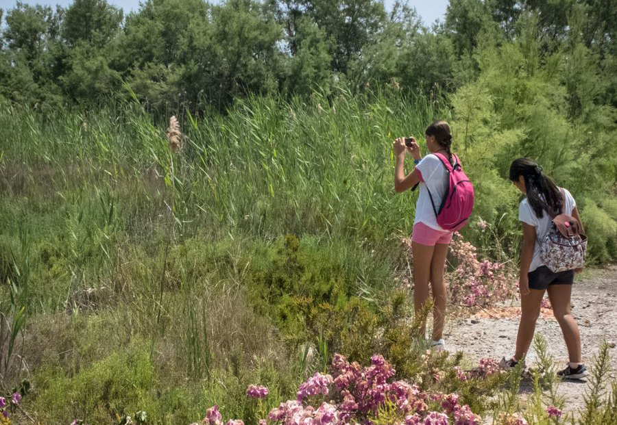 Cultura programa el concert “Un viatge pel món del Quixot”