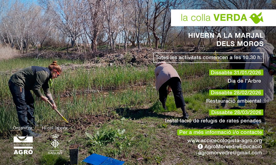 La Marjal dels Moros acollirà tres voluntariats organitzats per la Colla Verda