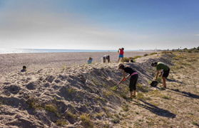 La Colla Verda organitza una nova campanya de voluntariat en les platges de Sagunt