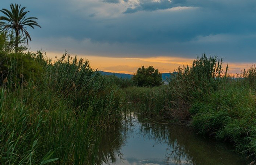 Acció Ecologista Agró organitza un cap de setmana amb activitats en la naturalesa per a tota la família