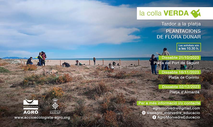 La Colla Verda programa tres plantacions de flora dunar per a esta tardor