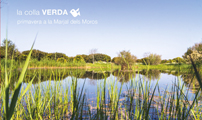 La Colla Verda i Acció Ecologista-Agró organitzen una visita guiada per la Marjal dels Moros