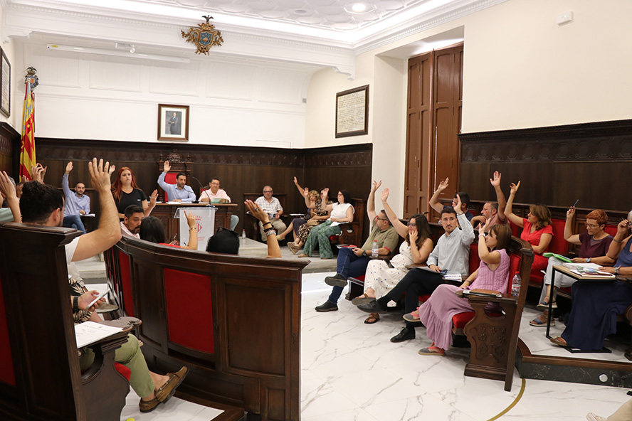 El ple municipal urgix la declaració de 'zona catastròfica' per les conseqüències de la tempestat del 12 de juliol