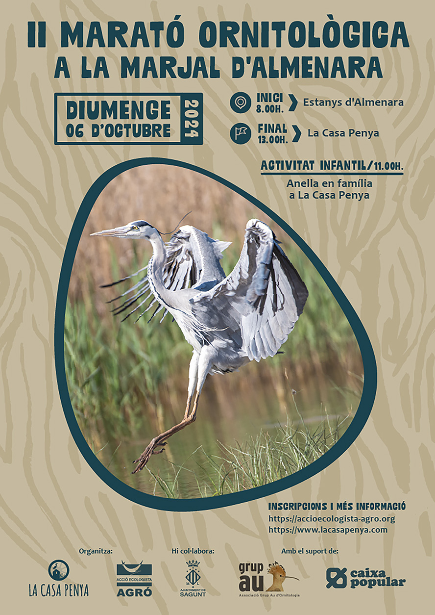 Acció Ecologista-Agró organitza la II Marató ornitològica de la marjal d'Almardà-Almenara