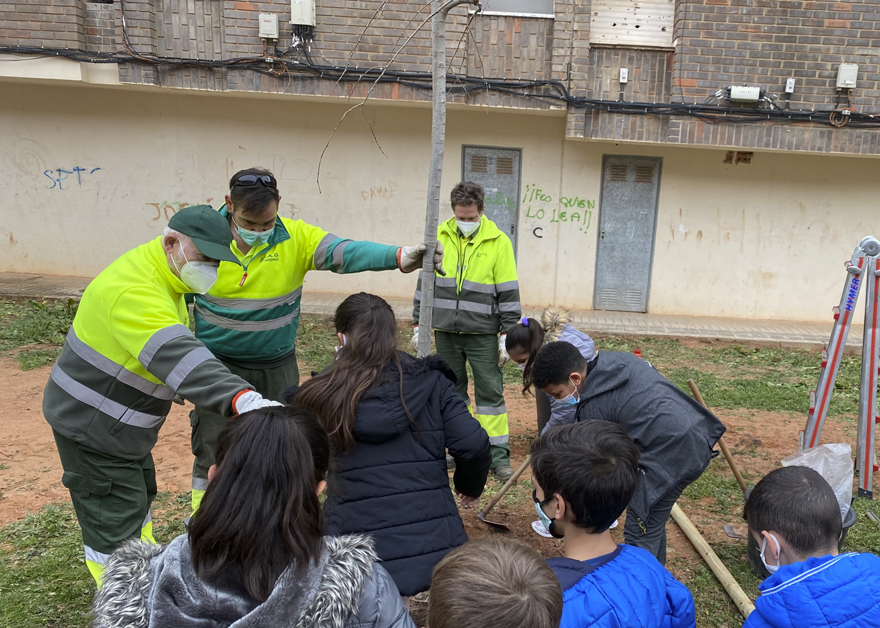 La SAG planta arbres en la plaça Echegaray amb la implicació de l'alumnat del CEIP Baladre