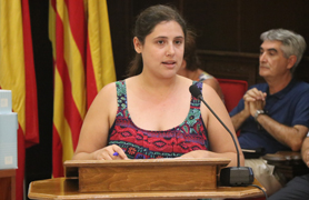 El Ple recolza de forma unànime que Sagunt oferisca una accessibilitat universal