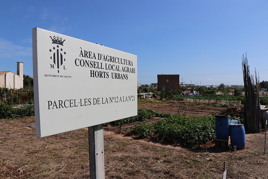 El Consell Agrari obri convocatòria per a la concessió demanial de 58 horts urbans fins al 28 d'octubre