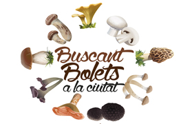 Sagunt presenta la 20 edició de les Jornades Micològiques incloent la ruta gastronòmica “Buscant bolets a la ciutat”