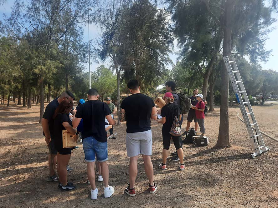 La Colla Verda instal·la hotels per a insectes i caixes niu en parcs de Sagunt