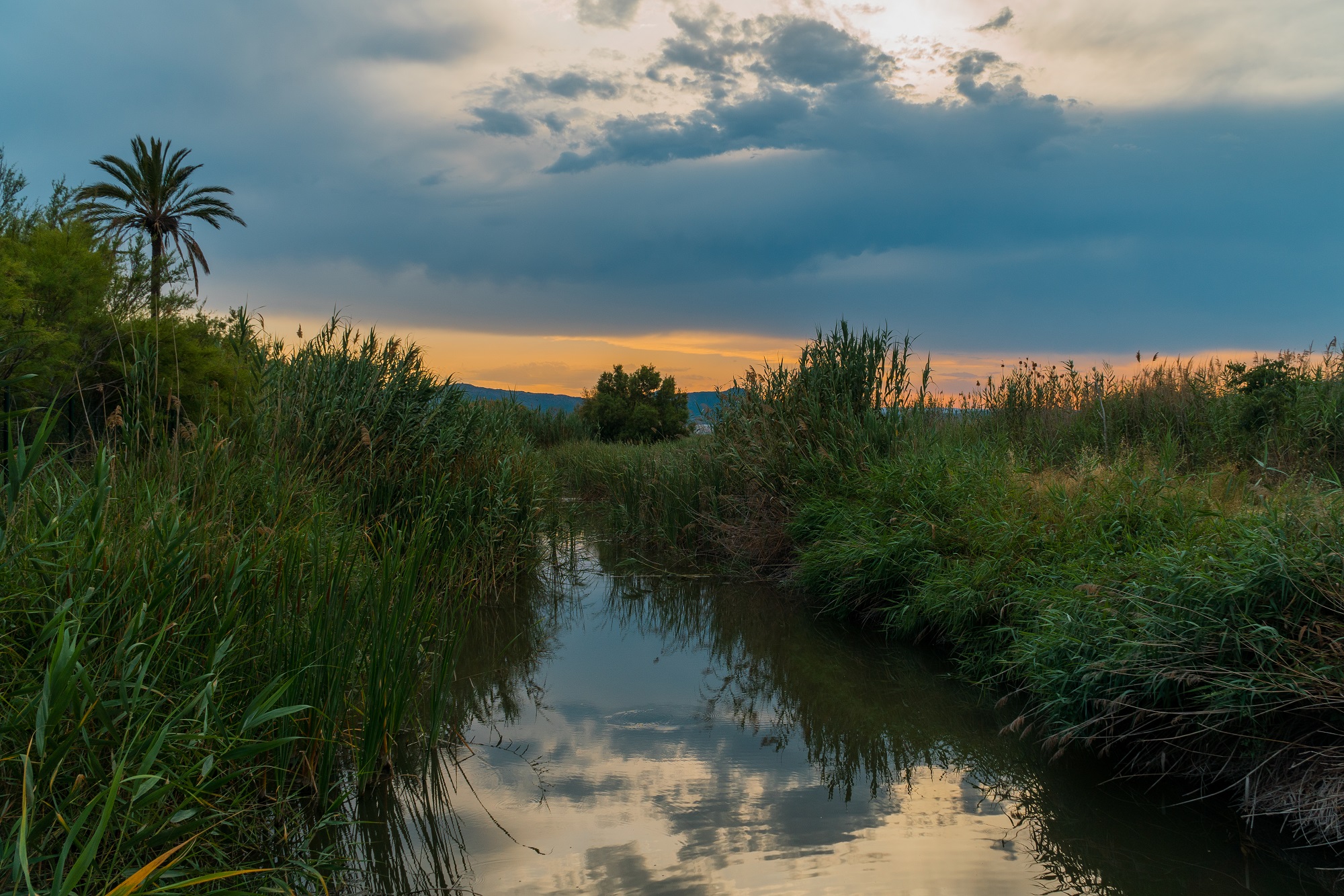 Els capvespres a la Casa Penya, una cita consolidada