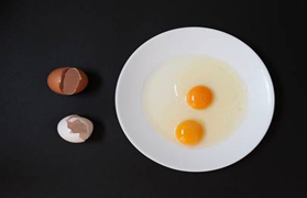 El grup fotogràfic ARSE inaugura dijous l'exposició ‘Diversitat i respecte’