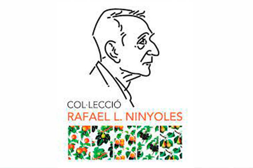 Este dijous es presenta en el Mario Monreal el llibre que recull els resultats d'un estudi sobre la percepció del multilingüisme en el sistema educatiu valencià