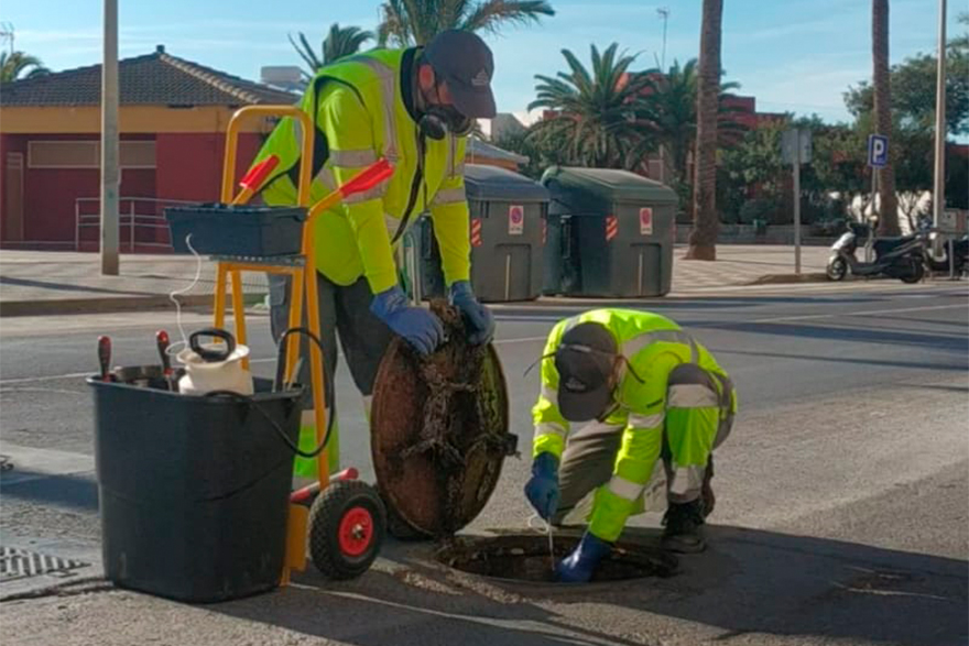 Comença la campanya de desinsectació i desratització per al control de panderoles i rosegadors en la xarxa de clavegueram municipal