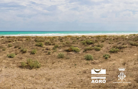 Acció Ecologista-Agró oferix activitats en la platja de Corinto i en la Casa Penya este cap de setmana 