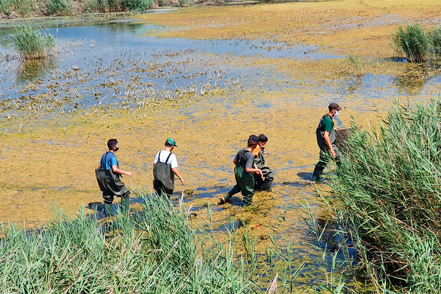 Una nova promoció d’adolescents va descobrir els valors naturals de la Marjal d’Almardà-Almenara, la platja, el saladar i el Riu Palància