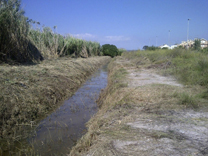 El Consell Agrari de Sagunt donarà ocupació a 102 persones en el mes d'agost 