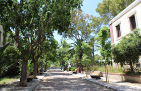 La Gerència tindrà un passeig dedicat a la seua defensa per part de la Comissió Ciutadana