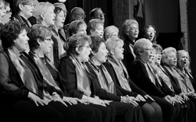 La Unión Musical Porteña oferirà concerts commemoratius en honor a la patrona de la música Santa Cecília 