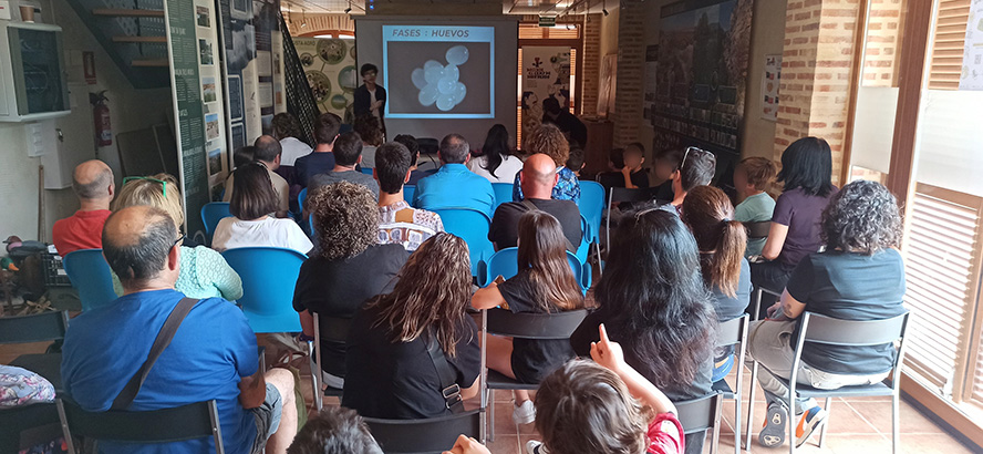 Un taller sobre formigues posa fi a les activitats primaverals de La Casa Penya