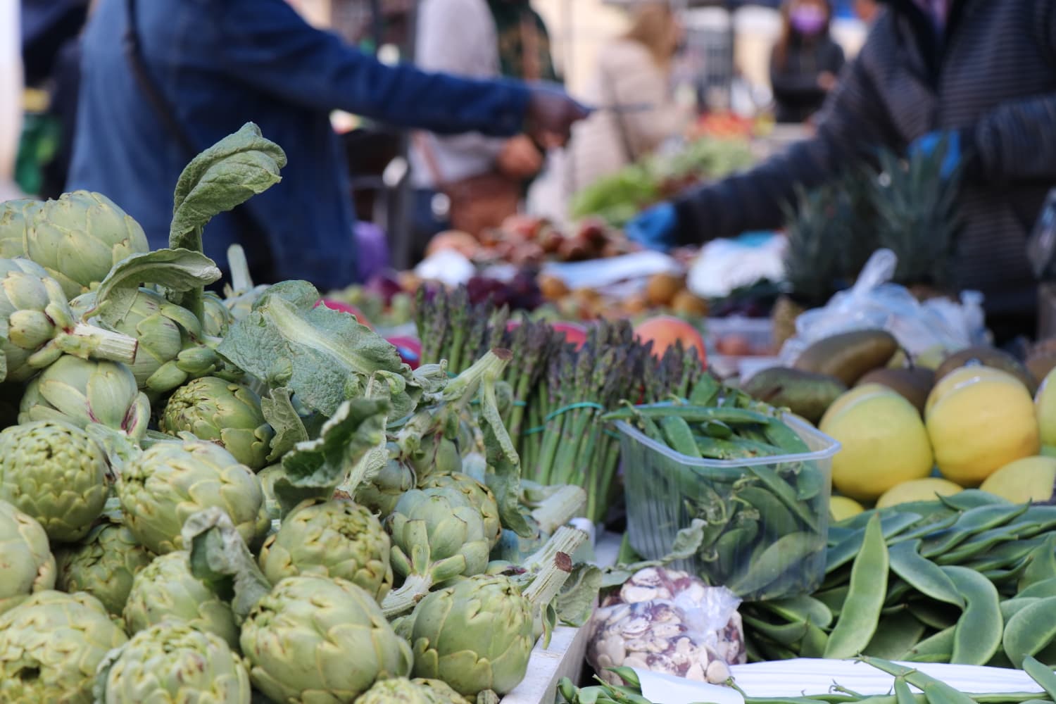El ple rebutja l'acord entre la Unió Europea i Mercosur per la seua repercussió sobre el sector agrari valencià i europeu