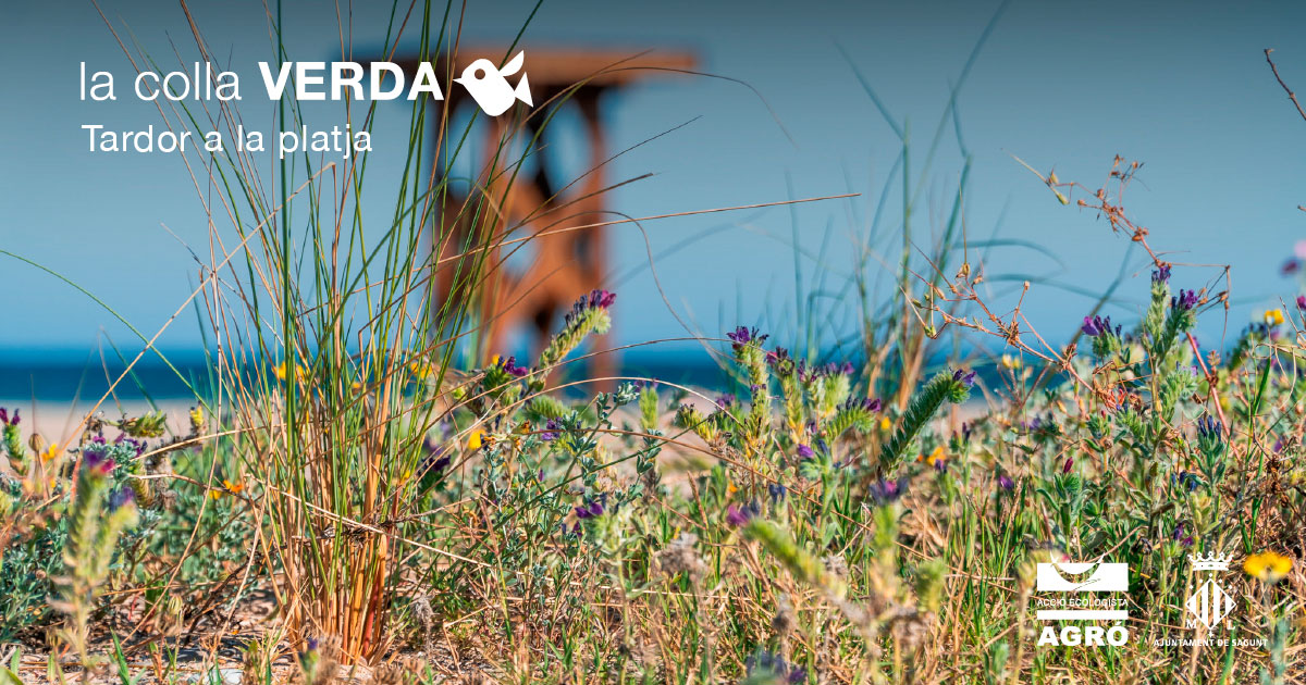 Tardor a la platja amb la Colla Verda