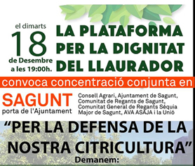 Concentració agrícola per protestar per la situació del sector citrícola