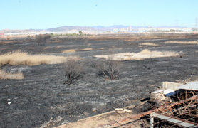 L'alcalde de Sagunt demana major implicació de les administracions després de l’incendi de la Marjal dels Moros