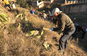 L'Ajuntament de Sagunt celebra el Dia Internacional dels Voluntaris