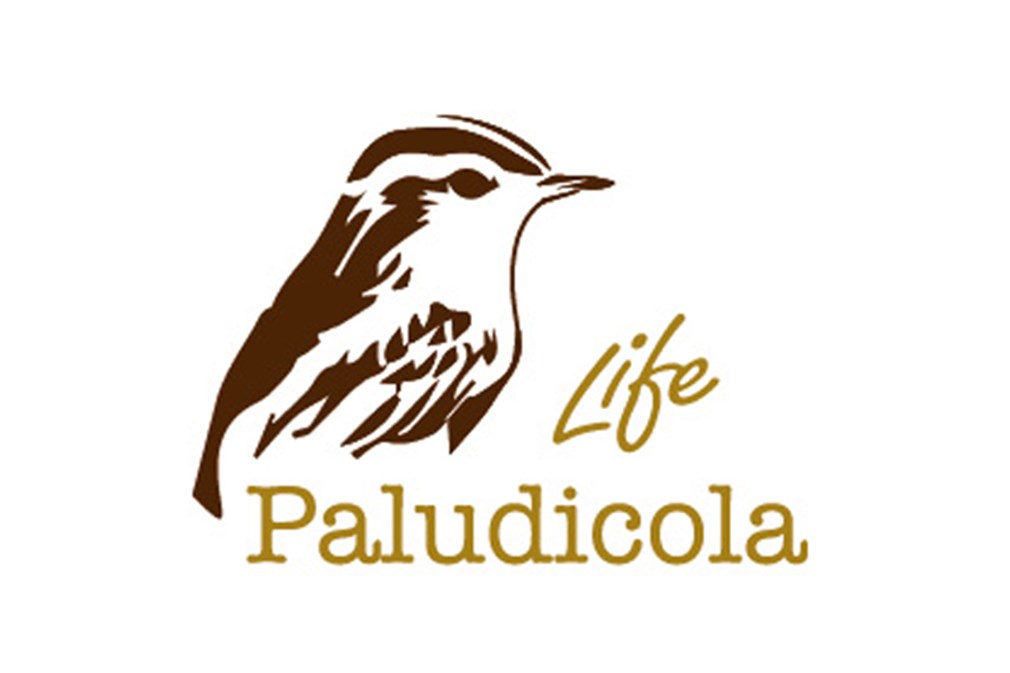 Proyecto LIFE Paludicola