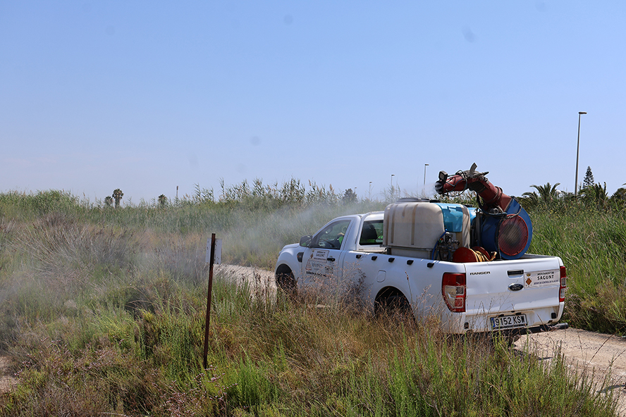 La Regidoria de Sanitat intensifica els tractaments per al control de plagues de panderoles i mosquits