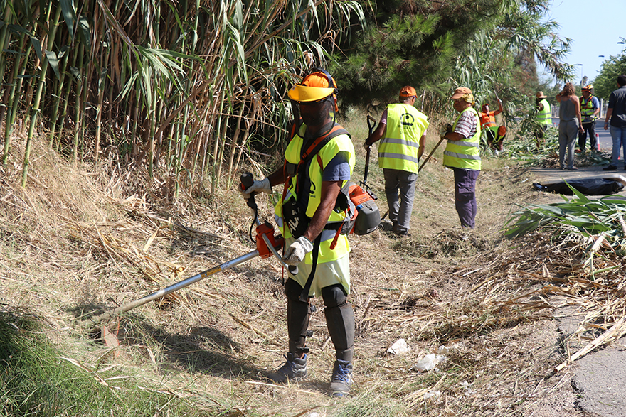 67 persones procedents de l'atur treballen en millorar els camins rurals este estiu