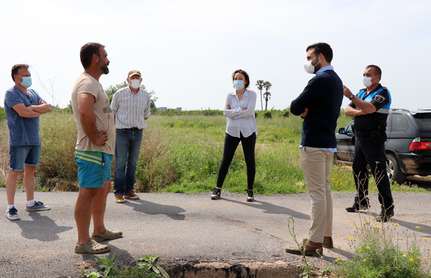 El cultiu de la xufa s'ha iniciat de manera experimental en 4 fanecades del terme municipal de Sagunt