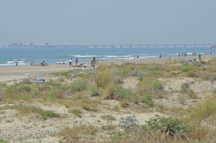 Voluntariat en la platja d’Almardà aquest dissabte 25 de juny
