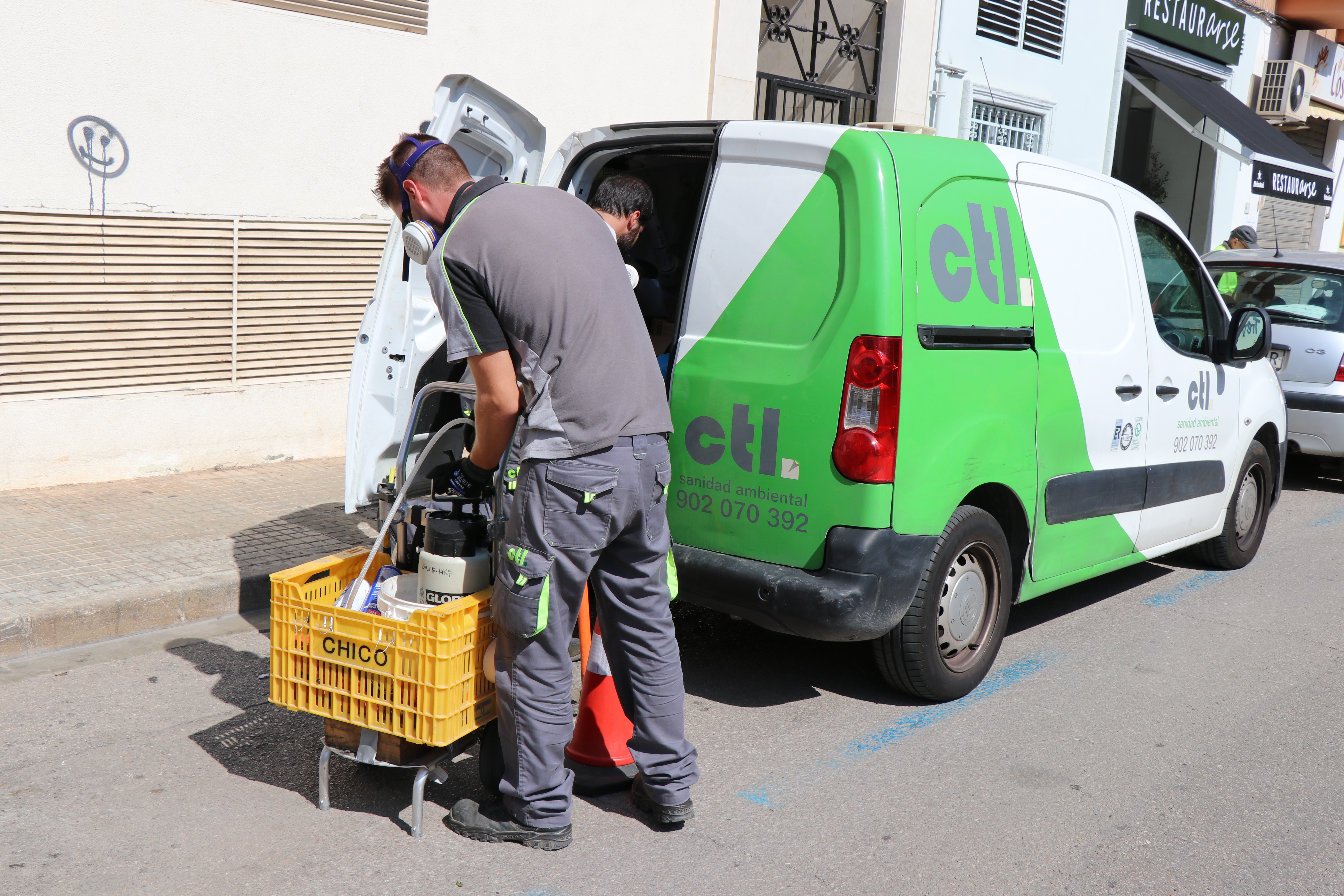 L’Ajuntament de Sagunt intensifica els tractaments per tal d’eliminar el mosquit tigre en instal·lacions esportives i col·legis 