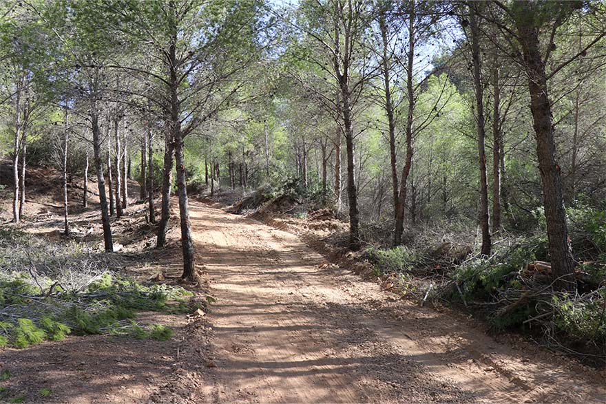 La Regidoria de Medi Ambient està executant un tallafocs en la zona de muntanya de l'Espartar