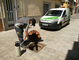 Continuen els treballs de tractament contra paneroles, mosquits i rates